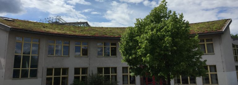 0043/17 | Grüner Stadtspaziergang:  Natur aufs Dach, Teil II