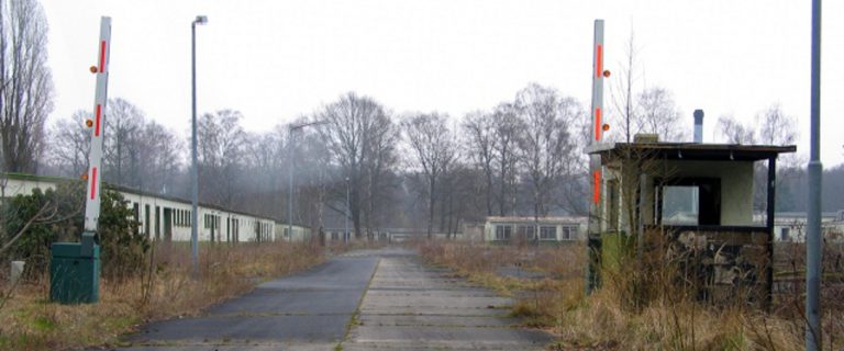 061/17 Grüne wollen mit Aufforstung beginnen