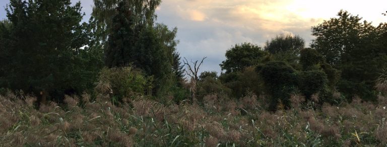 075/17 | Grüne werden der Bebauung im  B-Planverfahren 550 „Fette Henn“ in Hüls nicht zustimmen
