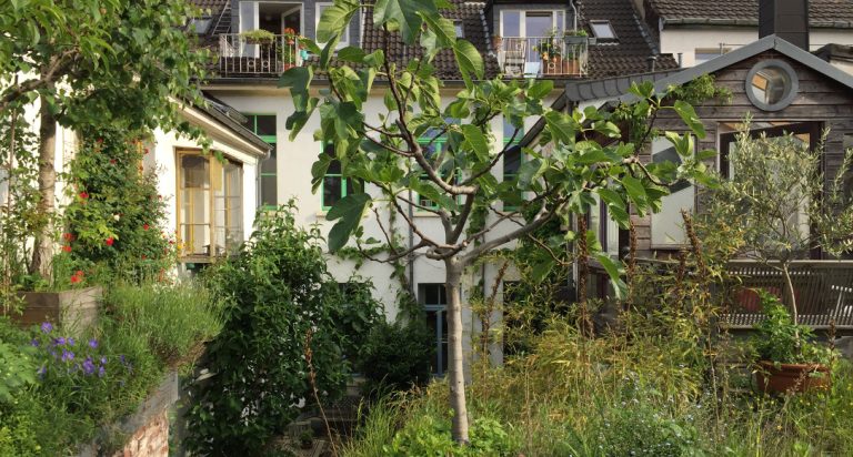 027/18 | Lebensräume für Fauna und Flora in der Stadt – Grüne laden zum nächsten Stadtspaziergang ein