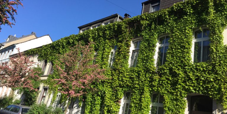 039/18 | Stadt muss auf Klimawandel reagieren – Grüne fordern erste Maßnahmen