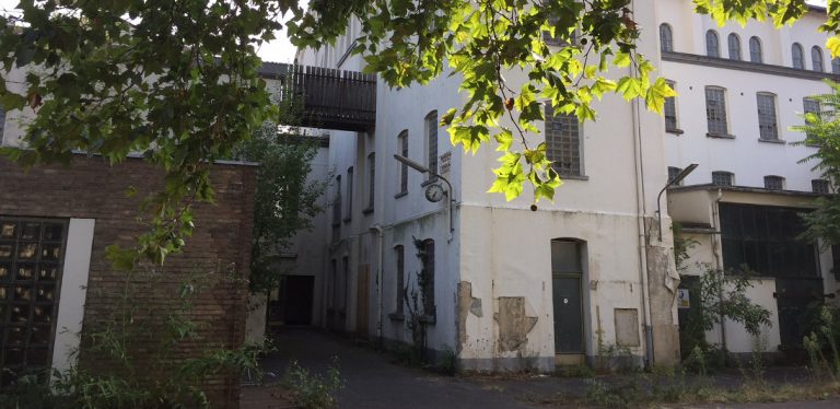 048/18 | Grüne begrüßen die Idee eines Gründerzentrums im Historischen Stadtbad