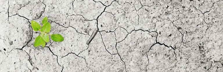 062/18 | Harsche Kritik an SPD und CDU: Naturschutz und Klimawandel spielen im Haushalt 2019 kaum eine Rolle!