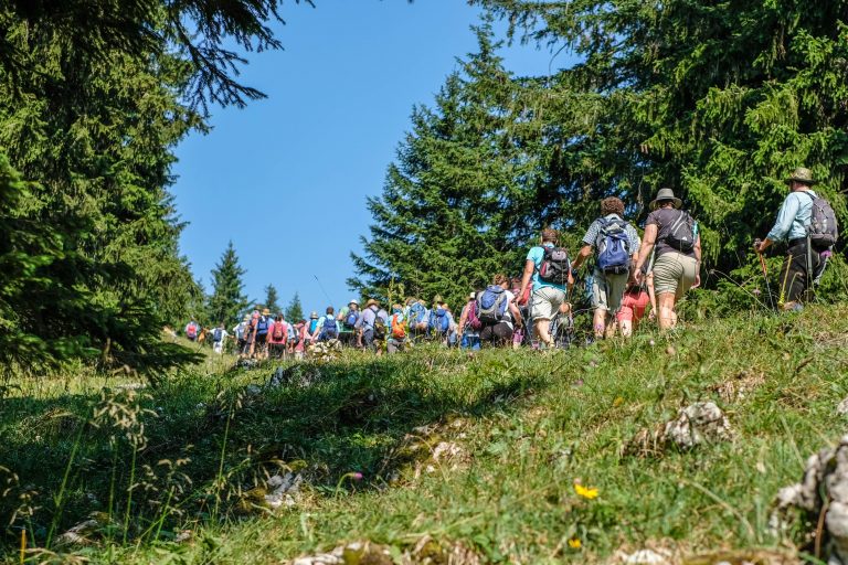 Almbegehung in Mittenwald am Mittwoch, 31. Juli 2019