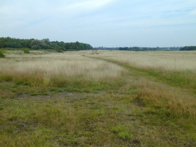 Führung Naturschutzgebiet Egelsberg (Werkhaus e.V.) @ Parkplatz „Siedlung Egelsberg“ an der Nordseite des Naturschutzgebietes Egelsberg