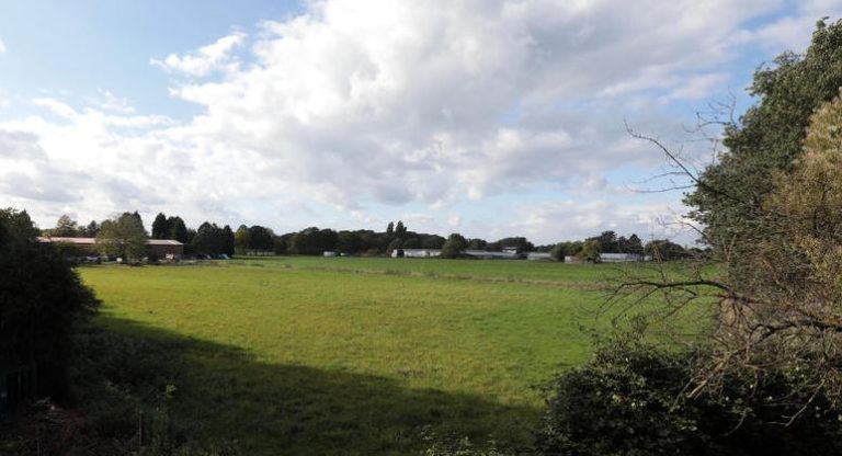 Offener Brief der Initiative „Lasst dem Wiesenhof die Wiese“
