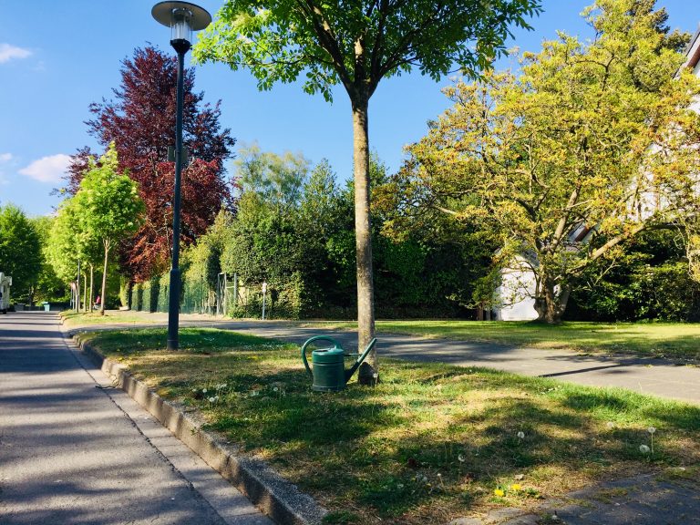014/20 Grüne bitten Bevölkerung um Mithilfe bei der Bewässerung