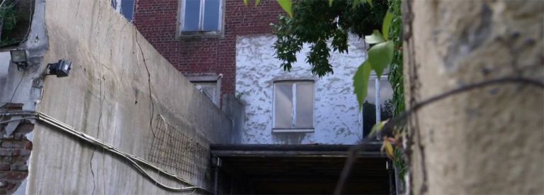 Grüne Video-News Krefeld vom 14. Mai 2020