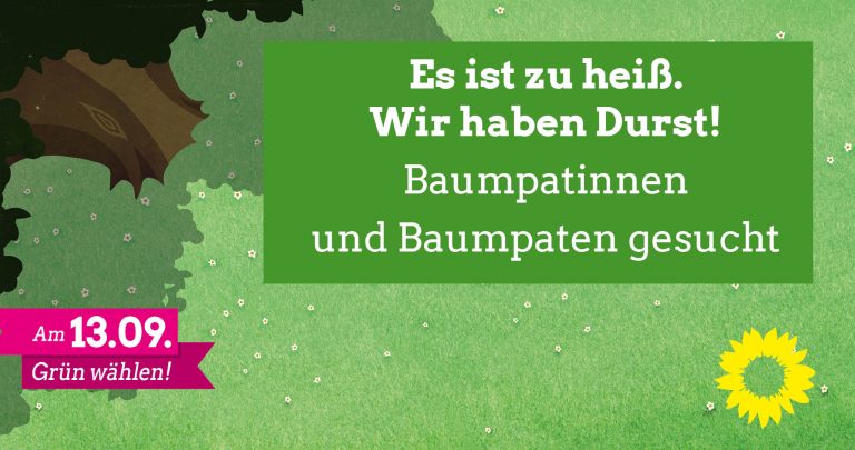 Die Stadtbäume brauchen unsere Hilfe