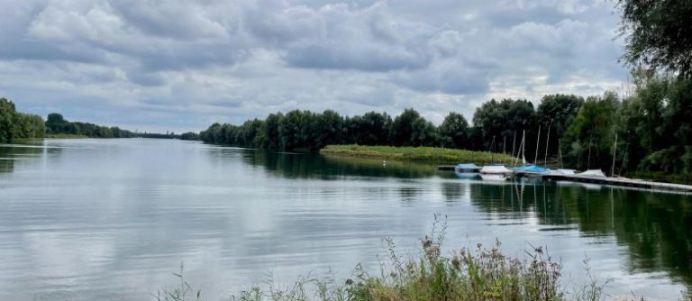 003/22 Grüne gegen Surfpark